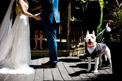 indiana outdoor wedding