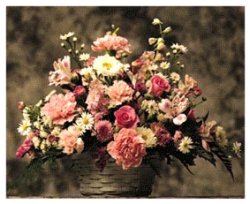 Nashville Indiana Wedding